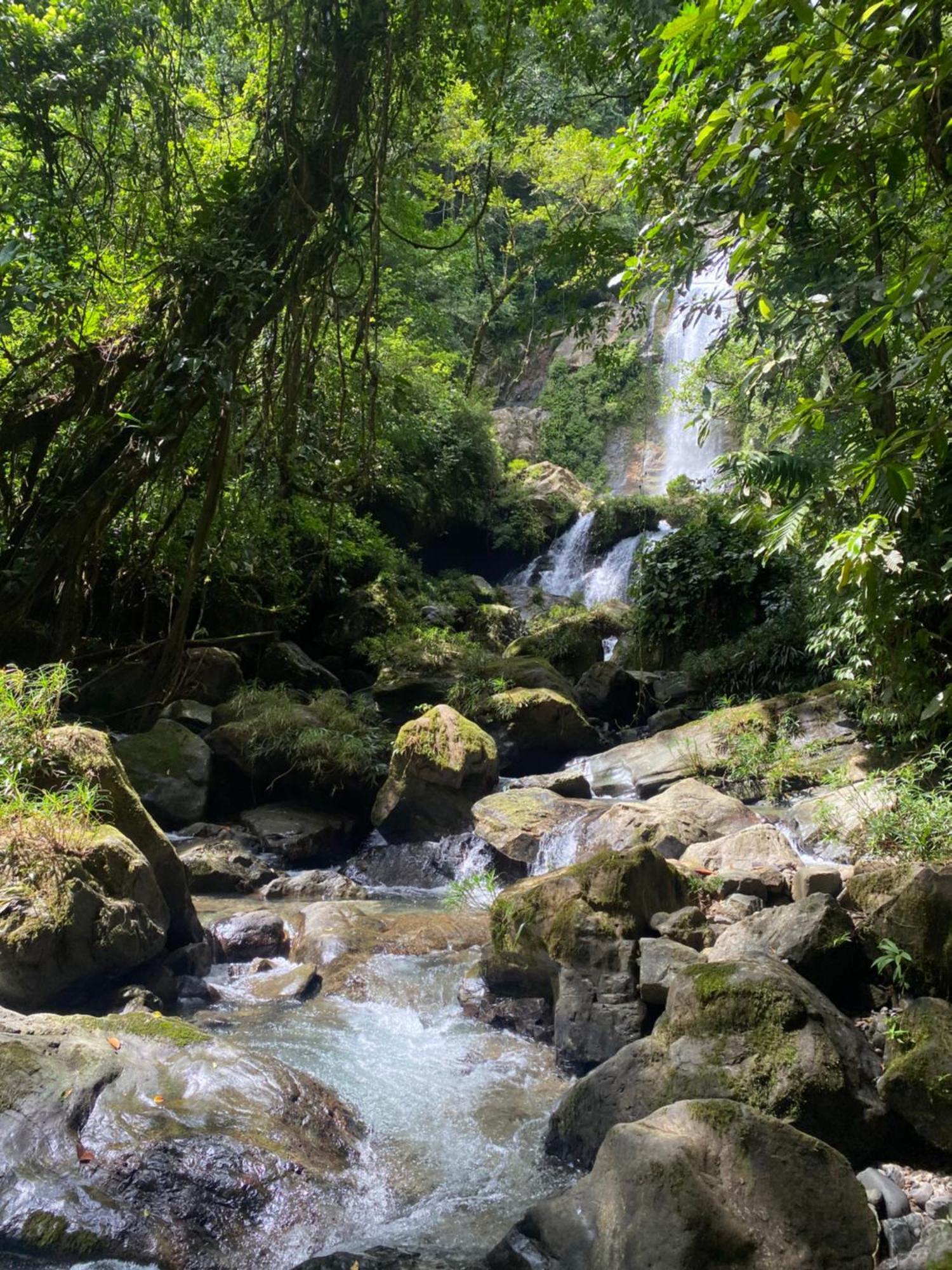 Rainforest Yasmin Hotel サンタ・フェ エクステリア 写真