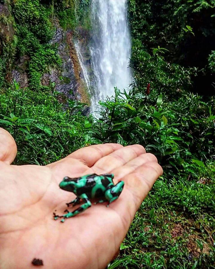 Rainforest Yasmin Hotel サンタ・フェ エクステリア 写真