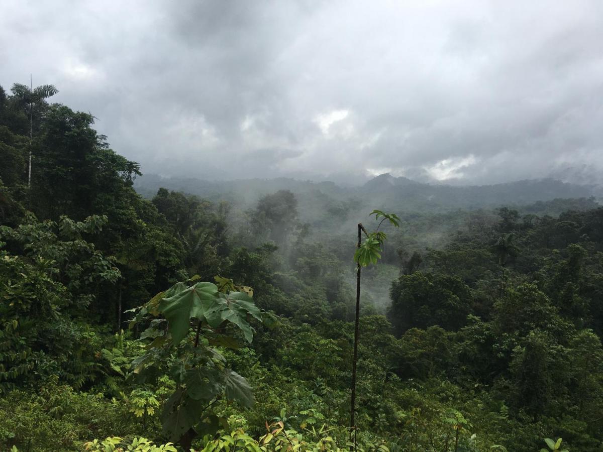 Rainforest Yasmin Hotel サンタ・フェ エクステリア 写真